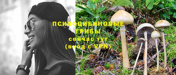 спайс Протвино