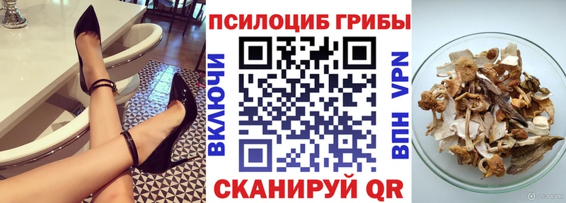 Псилоцибиновые грибы MAGIC MUSHROOMS  Купить закладки  Пущино 